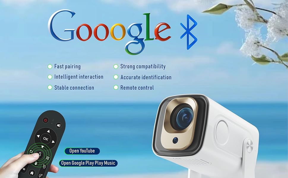 google Voice Projector