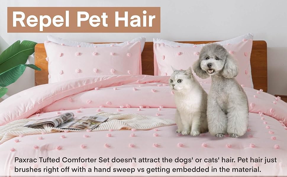 Pet Friendly