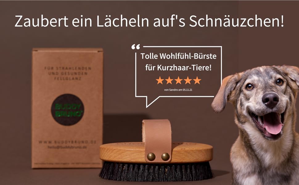 BUDDY BRUNO Hundebürste Kurzhaar mit 100% Naturborsten, Striegel für tägliche Fellpflege