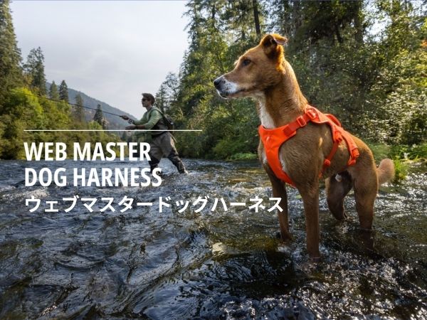 Amazon | RUFFWEAR(ラフウェア) ウェブマスタードッグハーネス(SS25