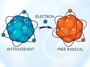 Coenzyme Q-10 is a Powerful Free Radical Fighting Antioxidant*