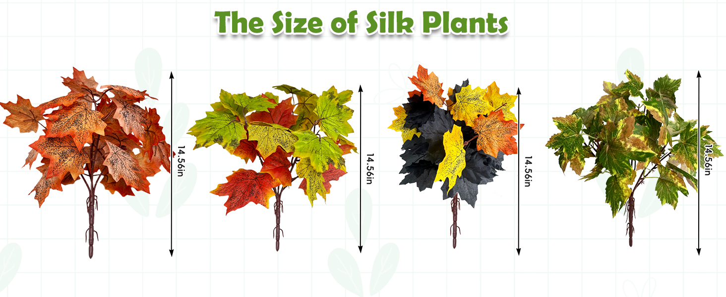 Hanging reptile plants