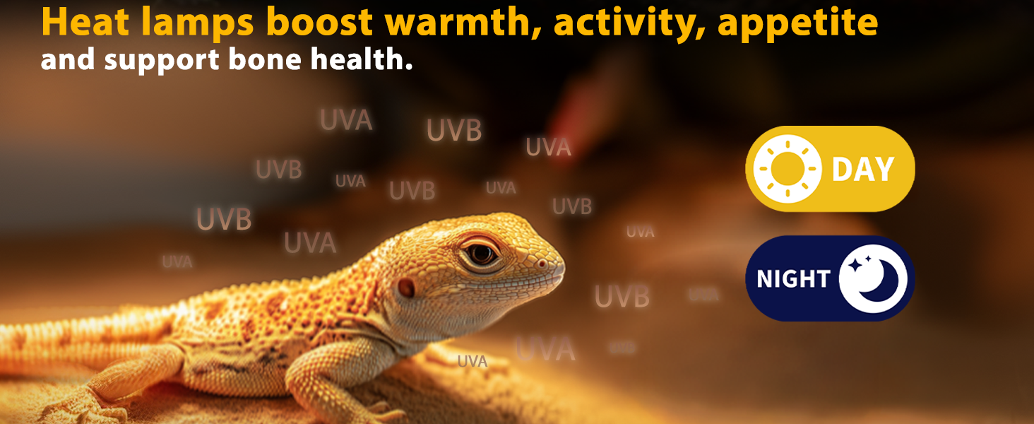 heat lamp reptile heat lamp heat lamp bulbs reptile heat bulb heat bulb heat lamp bulb