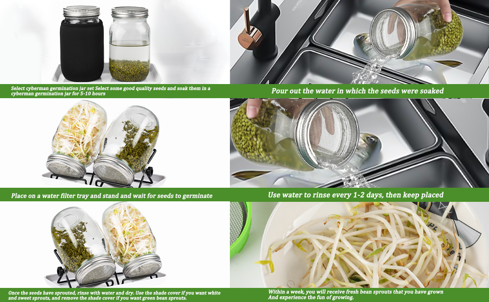 Sprouting Kit Sprouting Jar Kit 1 Large Wide Mouth Mason