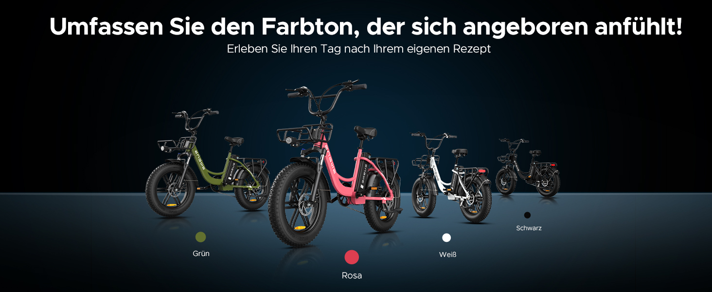 E BIKE HERREN