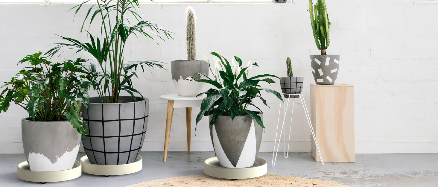 Amazon Nuolux 植木鉢台 キャスター付き 花台 円形 プランタースタンド 鉢置台 直径25 8cm 観葉植物 移動便利 360 回転 鉢受プレート グレー フラワースタンド 園芸ラック Amazon Nuolux 植木鉢台 キャスター付き 花台 円形 プランタースタンド 鉢置台 直径25 8cm 観葉植物 移動便利 360 回転 鉢受プレート グレー フラワースタンド 園芸ラック