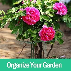 ORGANIZE YOUR GARDEN 