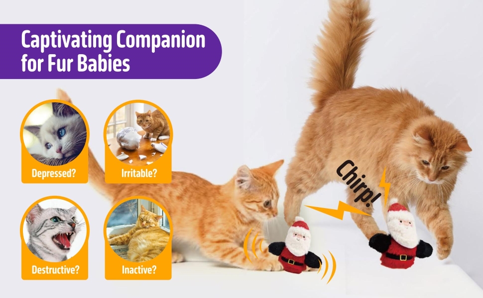 interactive cat toy