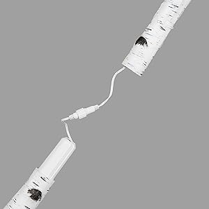 Birch