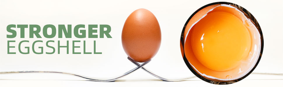 stronger eggshell