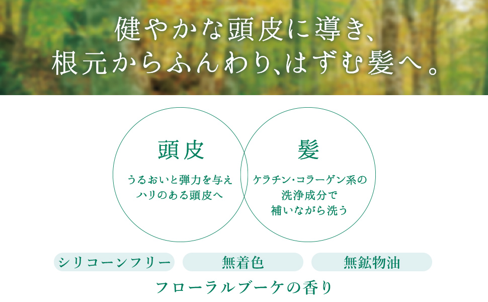 メイプリーゼ