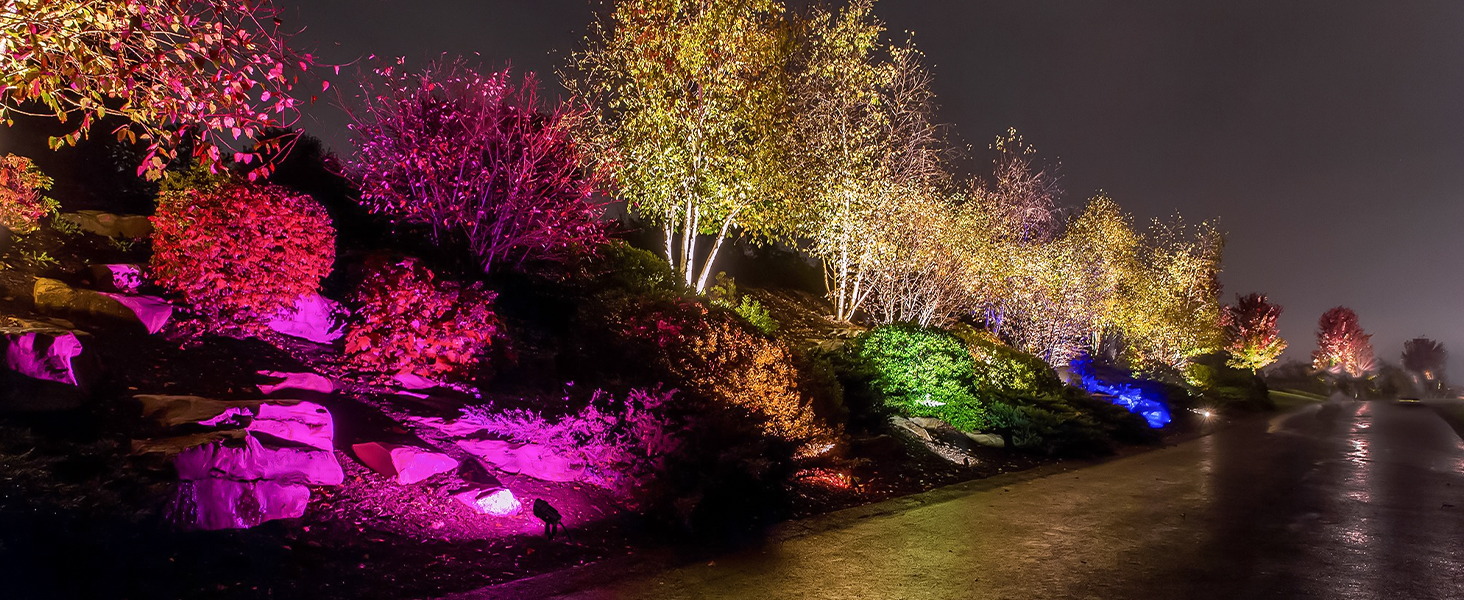 landscape lighting
