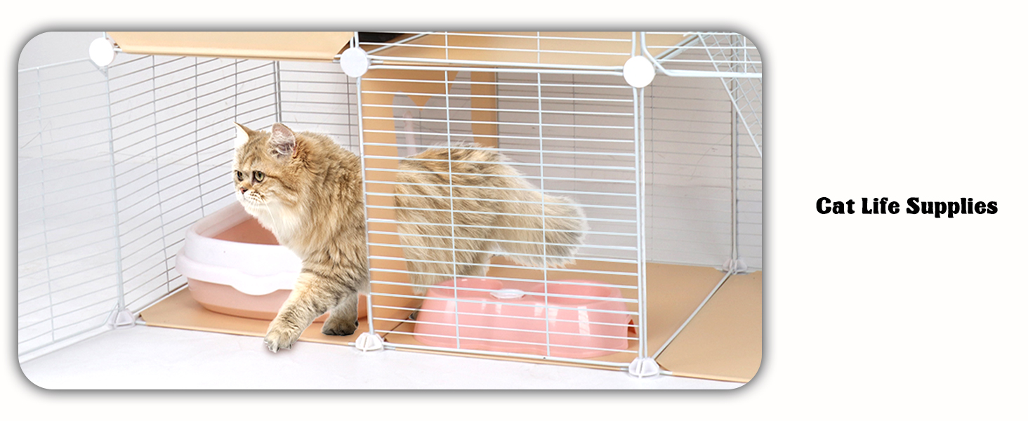 Cat Life Supplies