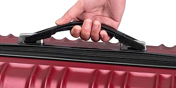 Zelsius Reisekoffer Set 4 Stück | ABS mit Zahlenschloss, 4 Rollen und Innen Trennwand |ideal für Familien | für_handgep 2dd9b4c5 Ea68 42ec 849c Ff0f6eeaedb5. CR0,500,2000,1000 PT0 SX350 V1