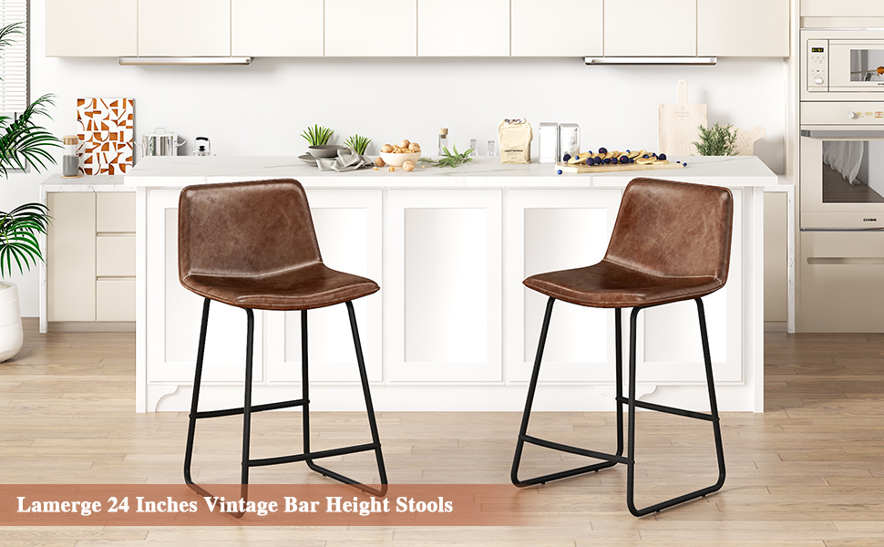 Lamerge 24 inch Bar Stools Set of 2,Counter Height Bar