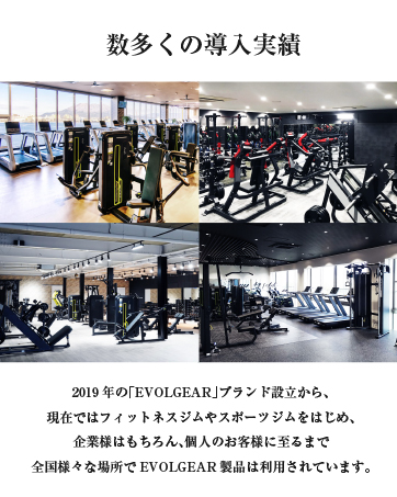 Amazon.co.jp: エヴォルギア(Evolgear) EVOLGEAR-アジャスタブルベンチ