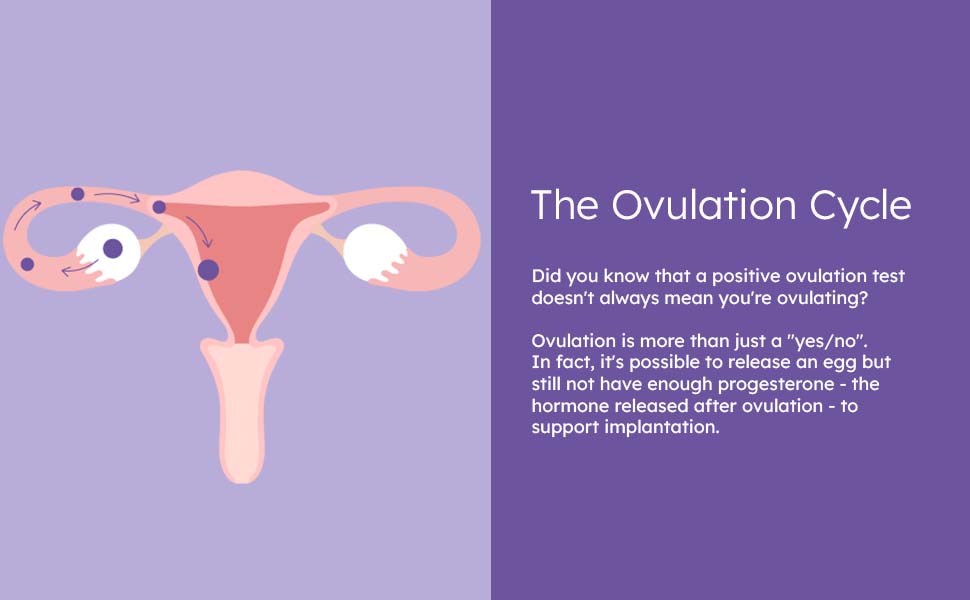 proov confirm ovulation pregnancy