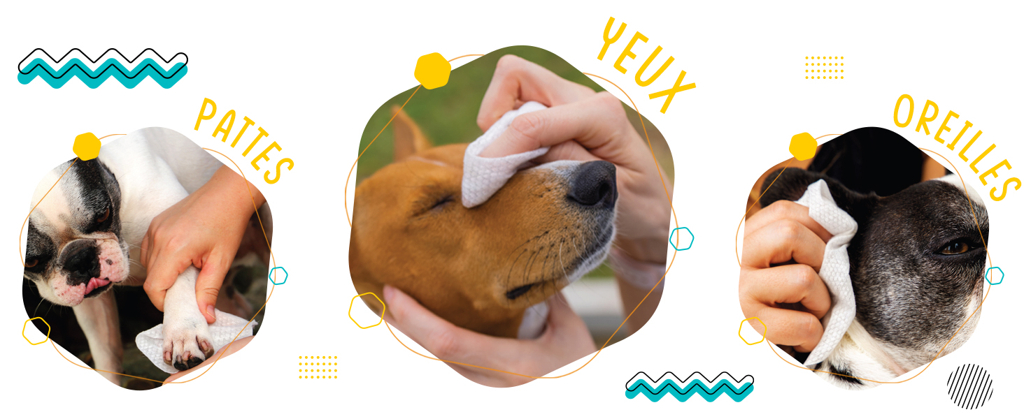 FirstPaw Lingettes nettoyantes pour Chien, 100 lingettes, Hypoallergénique, Enrichie en Aloe