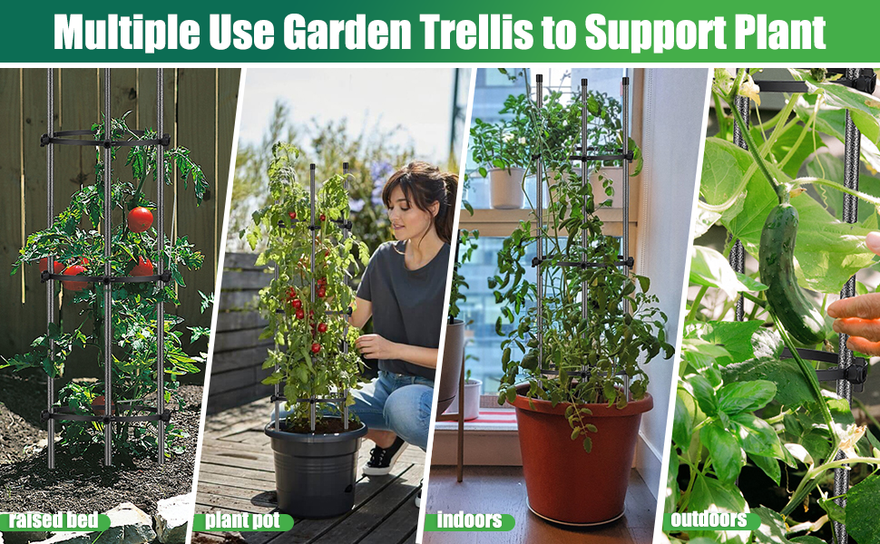 tomato cage garden trellis cages plant support ring round pots tomatoes indoor outdoor metal 