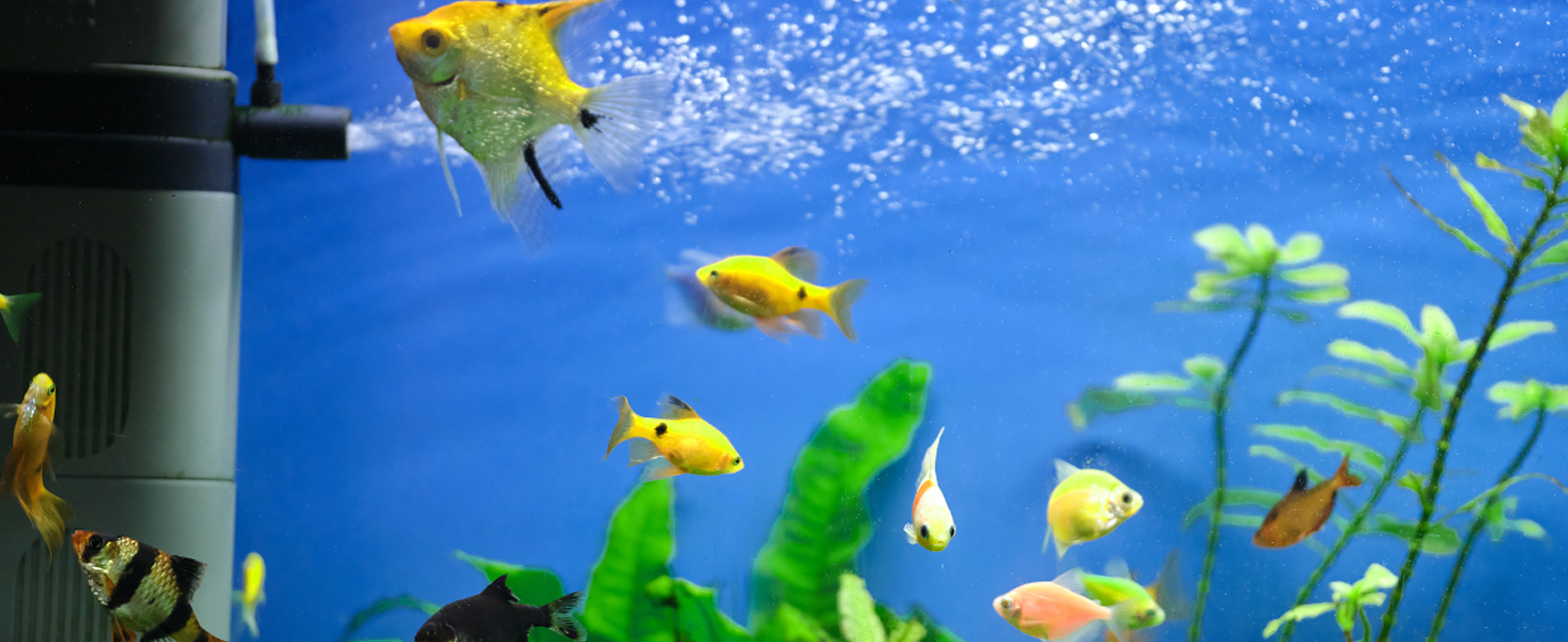 Water Test Kit for Home