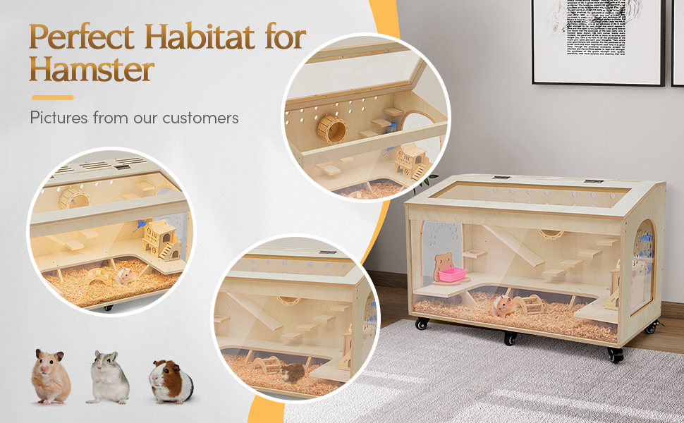 hamster cages and habitats
