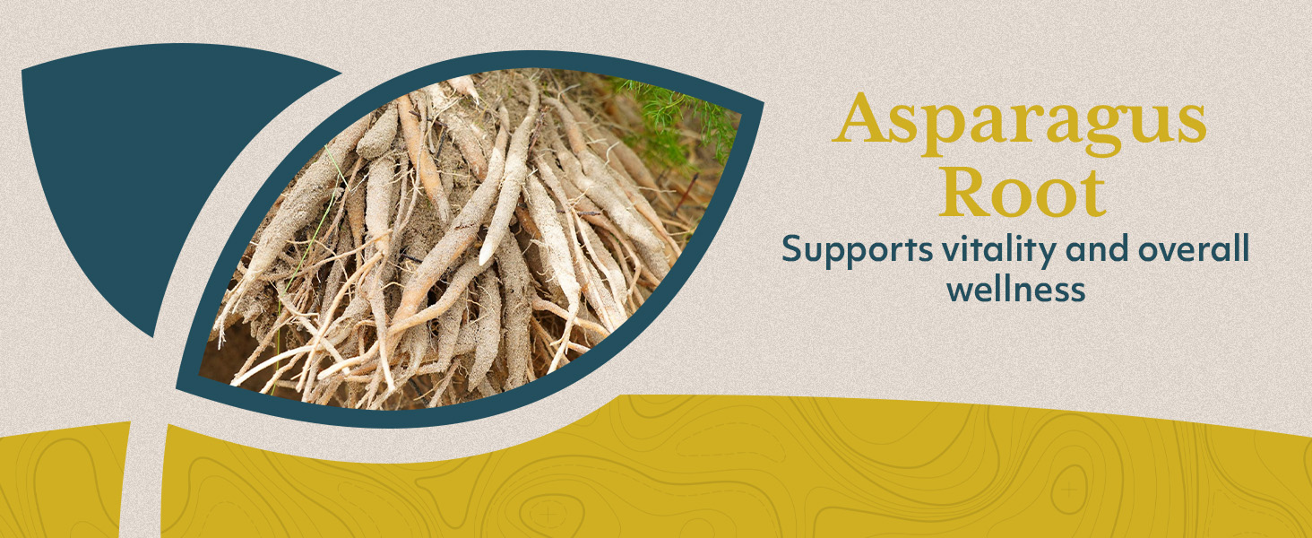 relief ringing ears zinc supplements bromelain attack naturals health oscillococcinum elderberry