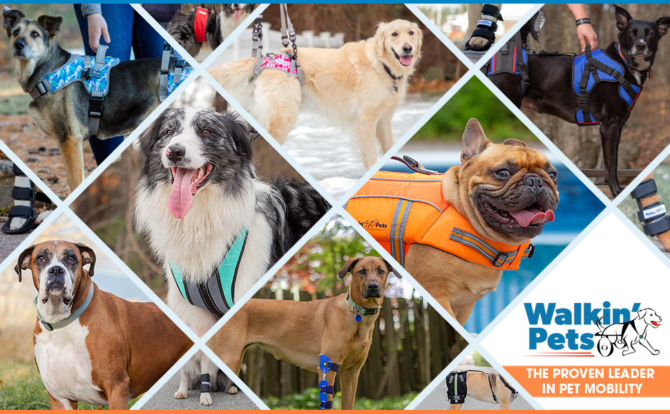 Walkin' Pet Splint for Dogs Dog Bootie Style Foot Splint