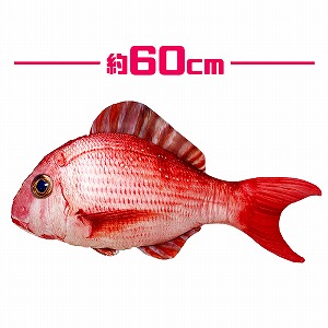 Amazon.co.jp: キャラクター 縁起の良い真っ赤な鯛 超リアル 鯛