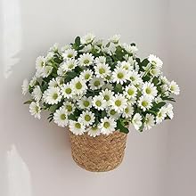 prime day deals today 2024 october