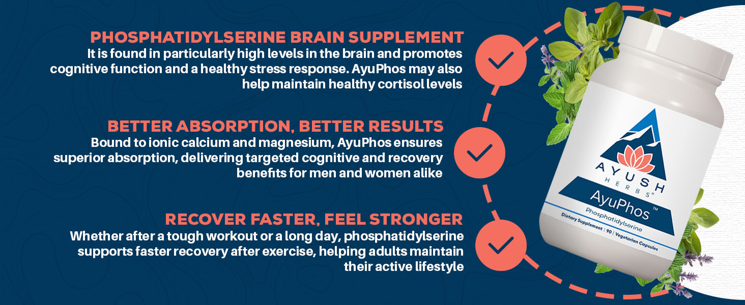 fosfatidilserina 300mg 100mg ps 500mg powder iso phos phosphorus supplements phosphatidylcholine