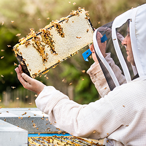 Small manufacture image 2