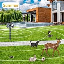 Cat Repellent