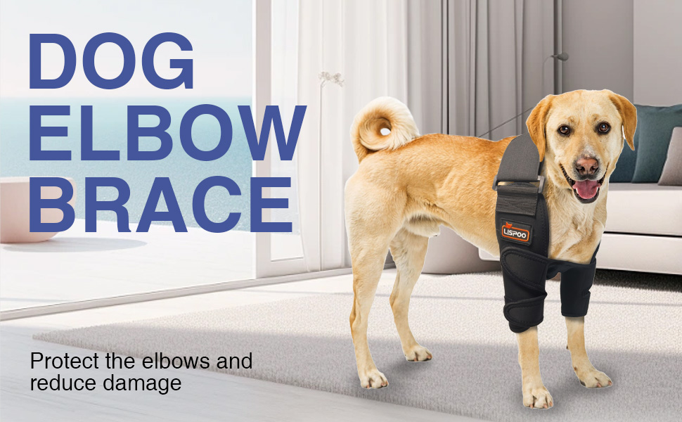 Hilltown Dog Elbow Brace for Shoulder & Front Leg, Canine