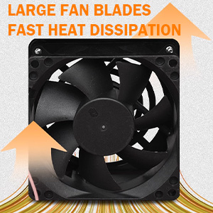 Large Fan