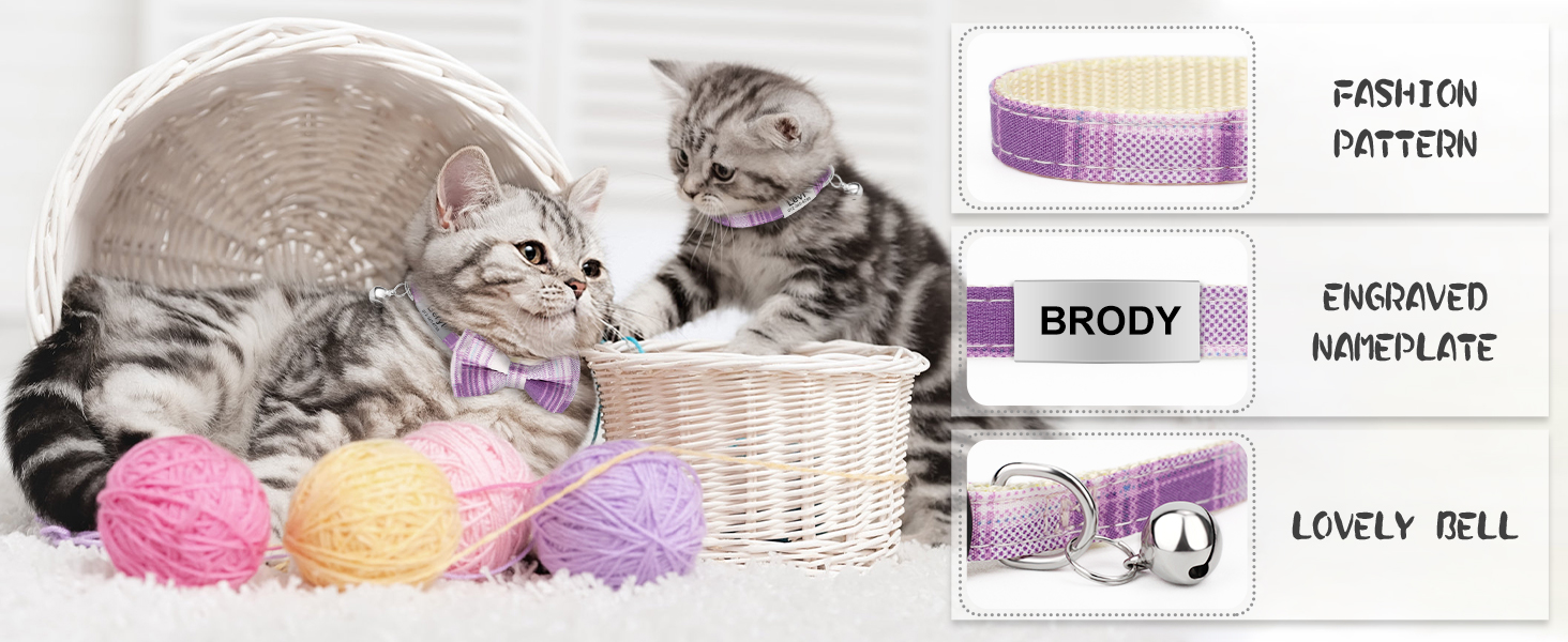 cat collar