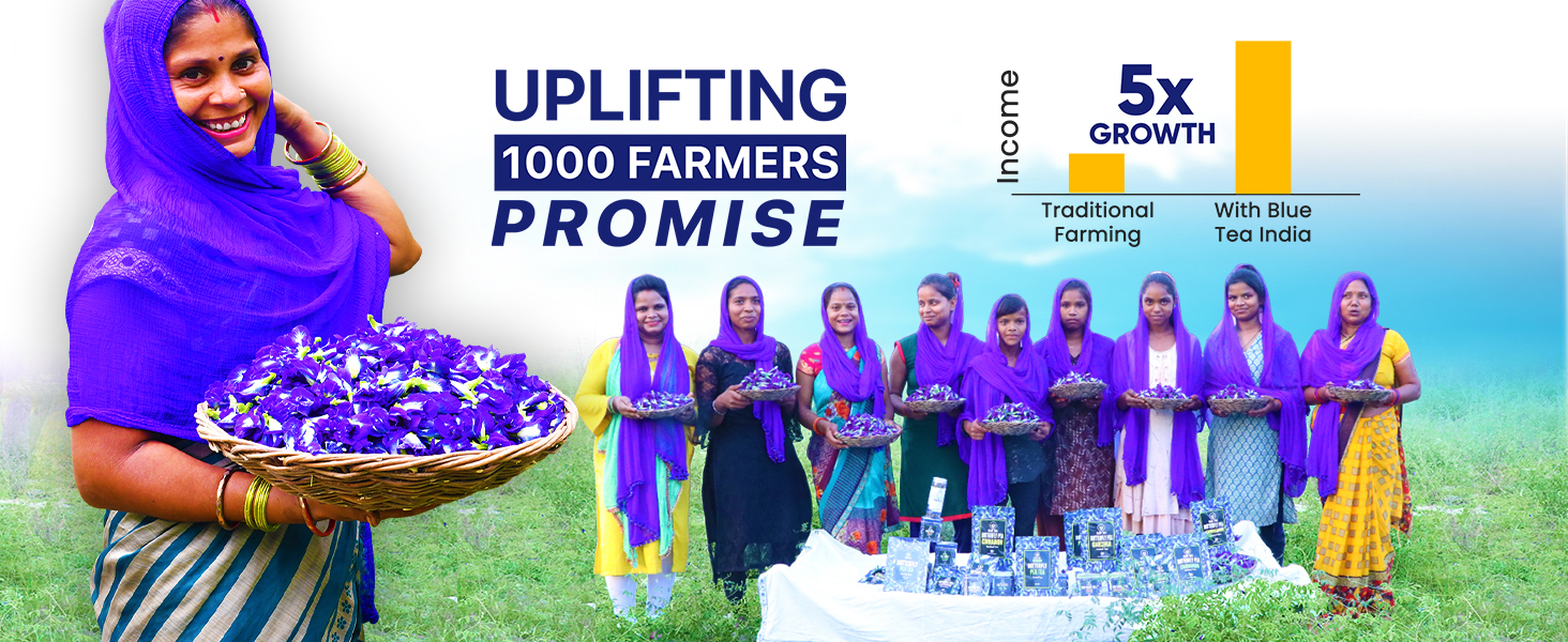 Large manufacture image 6