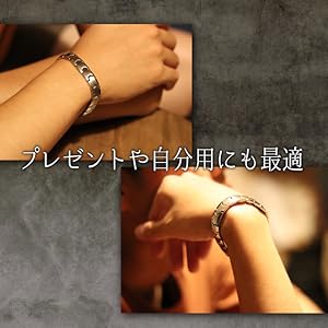 エルセラーン　ゲルマニウム　アンクレット エルセラーン ゲルマニウム アンクレット チタン合金製