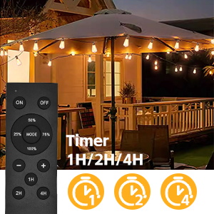 outdoor string lights remote