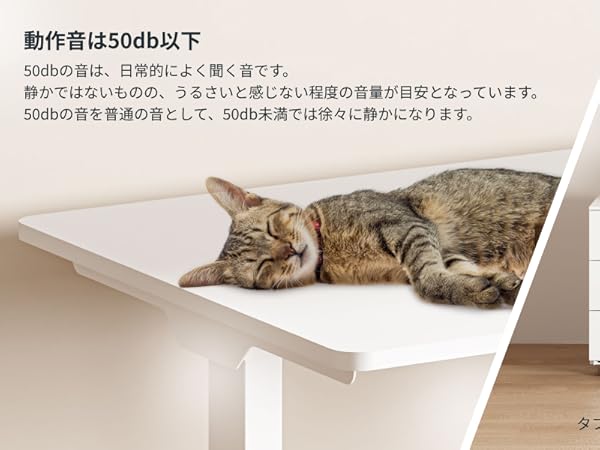 FLEXISPOT 昇降デスク スタンディングデスク EJ2W Amazon.co.jp: FLEXISPOT 昇降デスク スタンディングデスク EJ2B