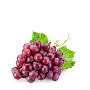 Traubenkernöl Linolsäure Antioxidantien
