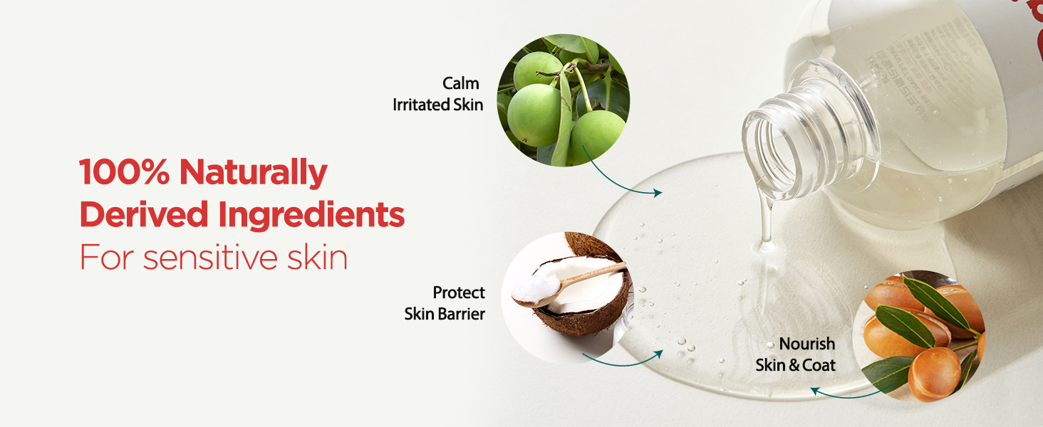 JAYU PET Daily Relief Shampoo - Vet Approved for Itchy Sensitive Skin, Natural Ingredients for Allergies. Moisturizing, Deodorizes Smelly Dogs, Best Odor Eliminating Dog Shampoo (10.1oz) 18 Vegan Dog Shampoo