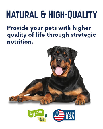 delicious immune regularity gas stomach safe formula food topper for canned native pet no 