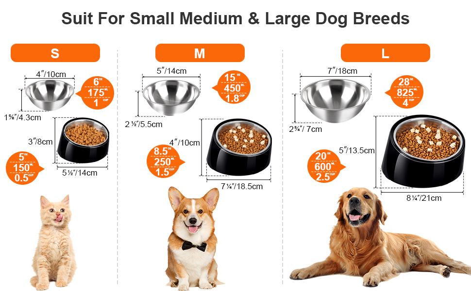 Petvillage Tilted Angle Dog Bowl, 15° Slanted Stainless