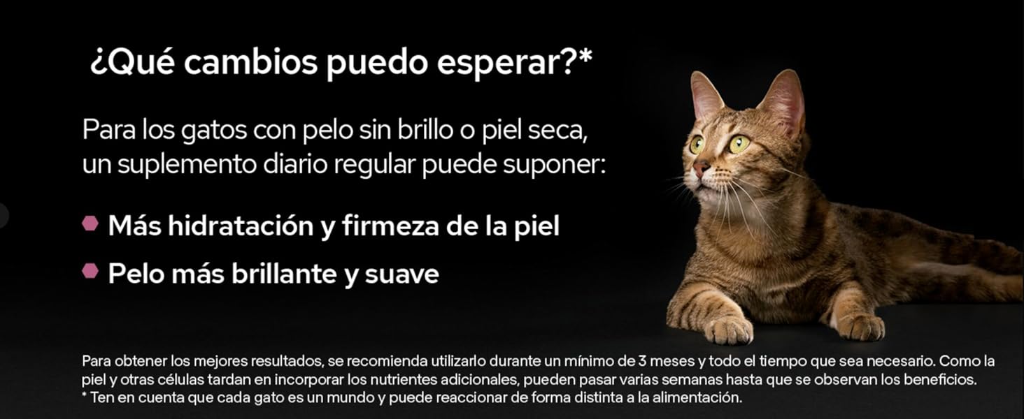 +suplementos para mascotas +alimento complementario +perro +gato