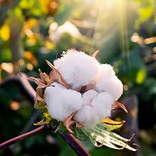 Producción sostenible