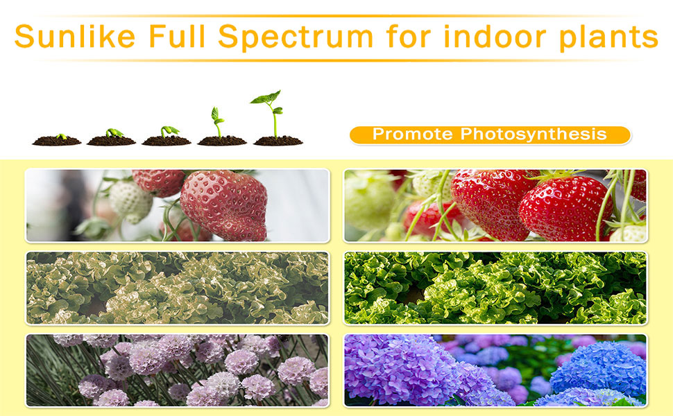 LED Grow Light for Indoor Plants,Full Spectrum Plant Lights with Auto
