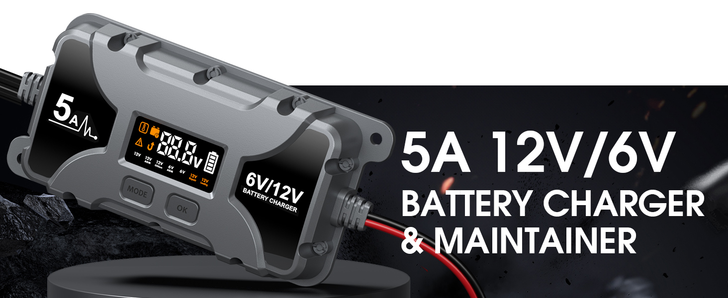 12V smart car battery charger