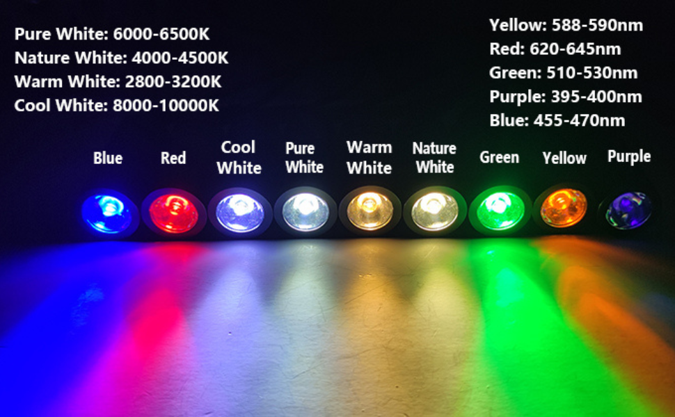 6W Bulb for Microscope Dual LED Gooseneck Light, 6500K LED