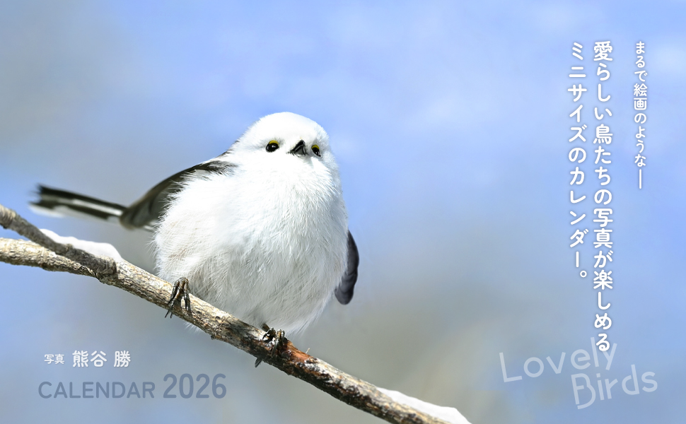 週刊　野鳥の世界　全121号セット【専用バインダー付き】 2025年最新】週刊 野鳥の世界の人気アイテム - メルカリ