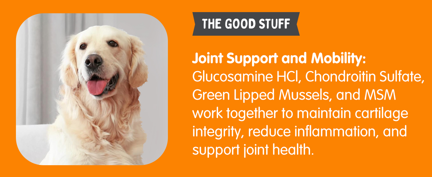 Multivitamin Chews A+4_4